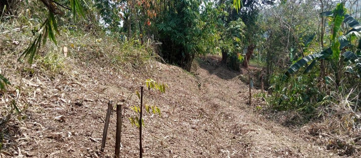 G:\Medical Leave Gordon\VILLAGE REPORT PICTURES\UMLING BLOCK\Narang\7.forest fire control line\WhatsApp Image 2023-03-15 at 17.33.20.jpeg